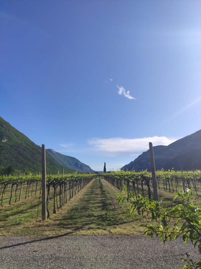 Agriturismo Revena Brentino Belluno Exterior photo